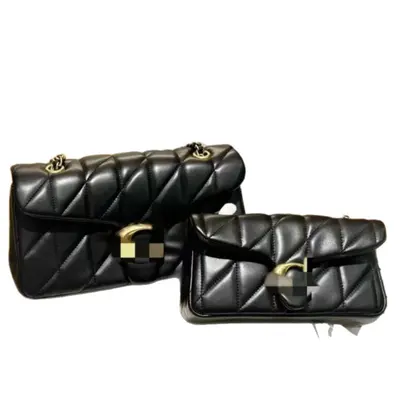 2025 Tabby Lambskin Cloud Bag, Genuine Leather Chain Women's Handbag - 5