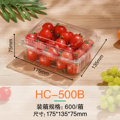 Einweg-Obst-Verpackungsbox mit Deckel, Frischgemüse-Kunststoffverpackungsbox, PET-Lebensmittelqualität, transparente Obstschnittbox - 13