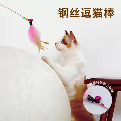 Colorful Steel Wire Cat Teaser Wand with Two-Color Feather Toy - 3
