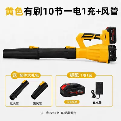 Lithium Battery Air Blower, Multi-Speed, for Dust and Snow Removal - 10