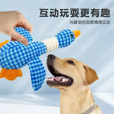 Two-Color Bite-Resistant Plush Dog Toy with Squeaker - 5