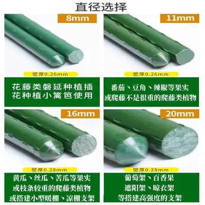 Plastic-Coated Steel Garden Plant Support Pole