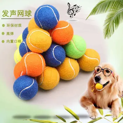 Dog Elastic Tennis Ball, Bite-Resistant Teething Toy with Squeaker