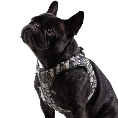 Dog Chest Harness Vest Style with Floral Pattern and Poop Bag Dispenser
