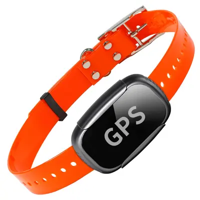 GPS-Tracking-Halsband zur Verlustprävention für Haustiere