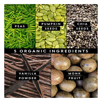 跨境外贸热销豌豆蛋白粉pea protein powder素食源头工厂代加工