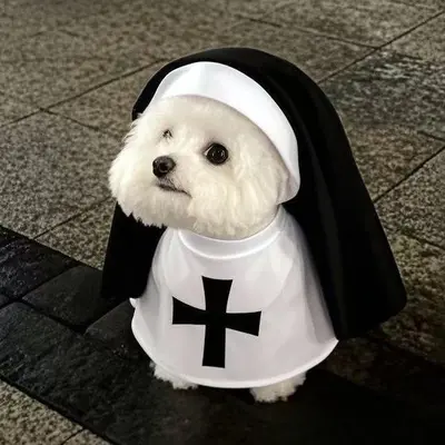 Cross-border Dog Nun Costume, Halloween Pet Dress-Up for Cats and Dogs, Funny COS Pet Photo Props, Cat Funny Clothes