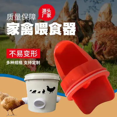 Gravity poultry feeder and automatic water container for chickens and ducks