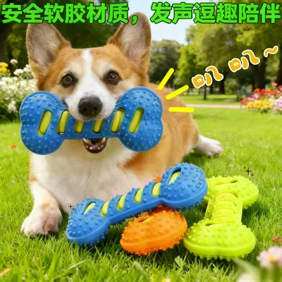 Durable Rubber Bone Squeaky Dog Chew Toy - 5