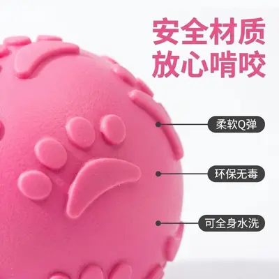 Durable TPR Squeaky Bouncy Ball for Small and Medium Dogs - 3