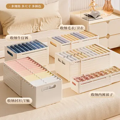 Plastic Wardrobe Storage Box for Clothing and Underwear