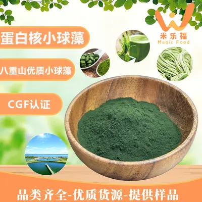 食品原料蛋白核小球藻高蛋白小球藻粉CGF认证绿藻小球藻提取