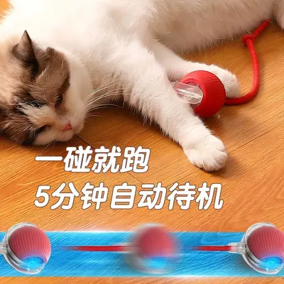 Cross-border pet toy ball, cat ball, self-entertaining device for dogs and cats, pet supplies, dog toy, cat toy.