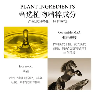 Boquan Yama Oil Anti-Hair Breakage Volumizing Shampoo, Moisturizing and Smoothing