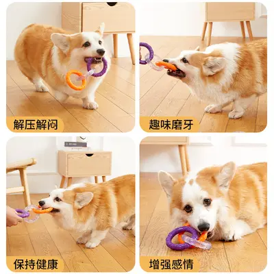 狗狗玩具耐咬磨牙洁齿解闷边牧柴犬中小型犬训练玩耍TPR玩具用品