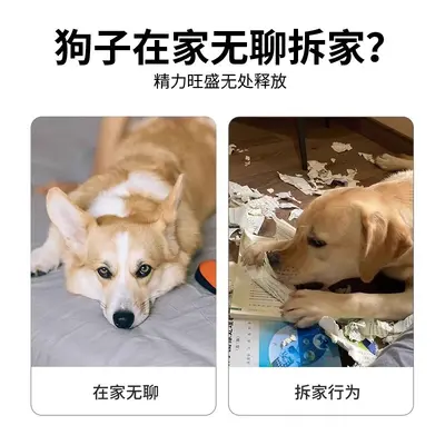Köpek oyuncağı, sesli gazete kağıdı, küçük ve orta ırk yavru köpekler için - 4