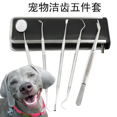 Köpek diş temizleme pensets, ağız bakımı aracı - 3