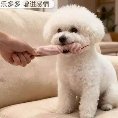 甩头小蛇狗狗玩具磨牙解闷发声自嗨神器逗猫小蛇玩具中小型犬玩具