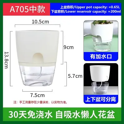 Self-Watering Resin Flower Pot, Transparent Double-Layer - 11