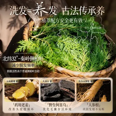 XH 侧柏叶熬制防脱洗发水何首乌人参姜根去屑滋润养发洗发露现货 - 5