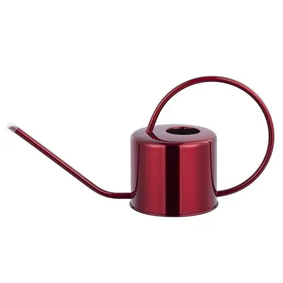 Retro Stainless Steel Watering Can, Large Capacity, Long Spout - 10
