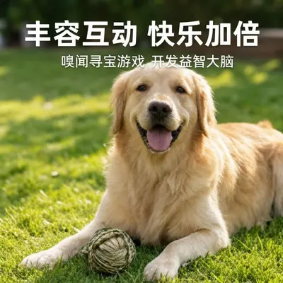 Hasır Top Köpek Oyuncağı, Koklama ve Çiğneme, Getirme Oyuncağı, İnteraktif - 2