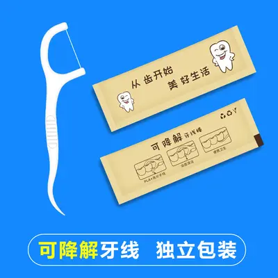 Individually Packed Single-Use Dental Floss Picks - 9