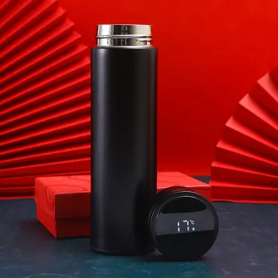 Smart Temperature Display 304 Stainless Steel Thermos Cup, Double-Wall - 13