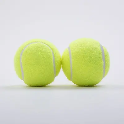 Elastik Tenis Topu Köpek Oyuncağı, Isırmaya Dayanıklı, Dış Mekan Eğitim Seti - 1