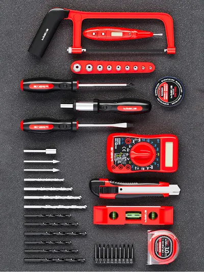 Delixi Electric Home Tool Set with Electric Drill Tool Box