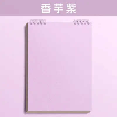 A4 Notebook with Removable Sheets, A5 Notebook and B5 Student Notebook - 12