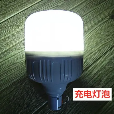 Solar Rechargeable LED Bulb, Portable Emergency Lighting