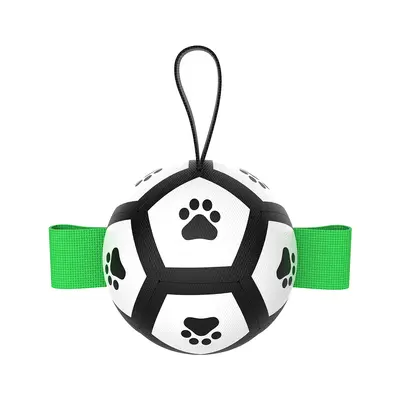 Amazon Dog Soccer Ball Toy Interactive Training Toy Ball Pet Ball Supplies Foreign Trade Wholesale Custom - 9