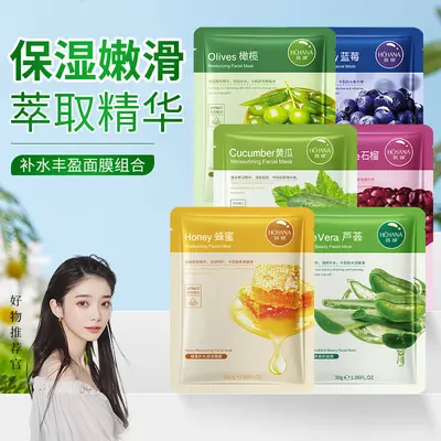 Han Chan Heidelbeer Feuchtigkeitsmaske 30g, Aloe & Gurke
