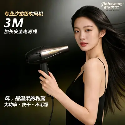 Jinbo Wang 9930 Professional Hair Dryer, Blue Light, Negative Ion