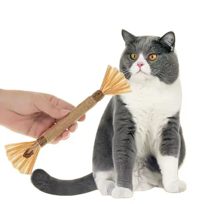 Katzenminze-Kaustab mit Sisalball, bissfest und quietschend - 5