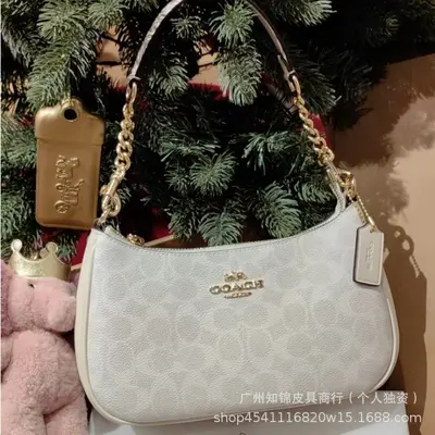 Coach High Edition Outlet 2025 Teri 25 Underarm Bag Classic Signature Fashion Single Shoulder Crossbody Handbag Crescent Bag - 8