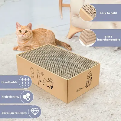 Rectangular Cat House Box Set with Corrugated Cardboard Scratcher and 5 Scratching Pads - 5