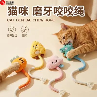 Cat Toy with Chew Rope and Catnip, Self-Play Teaser Wand - 1