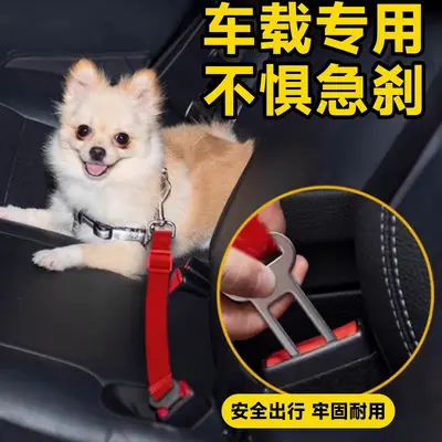 厂家直营铁质宠物安全扣狗狗牵引绳配件表宠物牵引带防锈插片