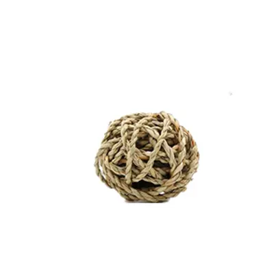 Dried Apple Branch Chew Sticks for Rabbits and Hamsters - 10