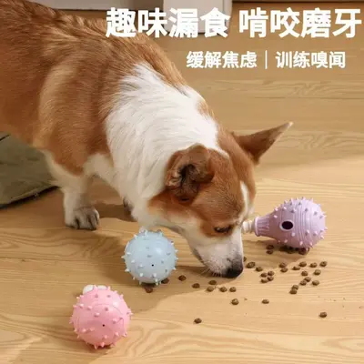 Dayanıklı Köpek Oyuncağı, Ödül Saklama, Diş Kaşıma ve Enerji Harcatma - 3