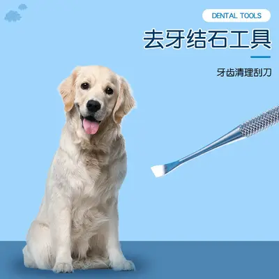 Köpek diş taşı temizleme aracı, 6 parçalı set - 3