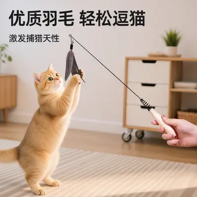 CFA Cat Teaser Wand, Long Handle, Replacement Feather Head - 3