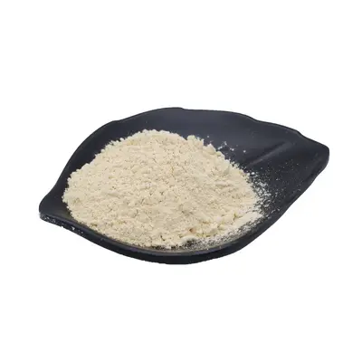 玉米蛋白粉60% 盛元泰供应食品级玉米提取植物蛋白粉 量大从优