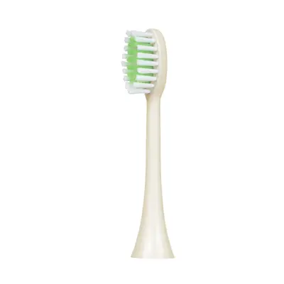 Replacement Brush Head for Philips HX2 Series, Compatible with HX2421/2471/2431/2451/247M - 9