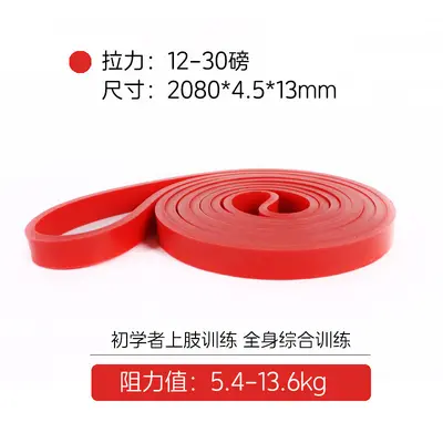 TPE Resistance Band with Pull-Up Assist, Multifunctional Training - 7