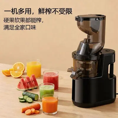 Automatic Cold Press Juicer Wide Feed Chute - 2