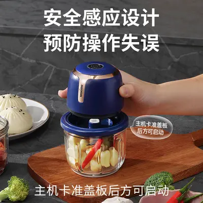 Electric garlic press and crusher with blender function for home use