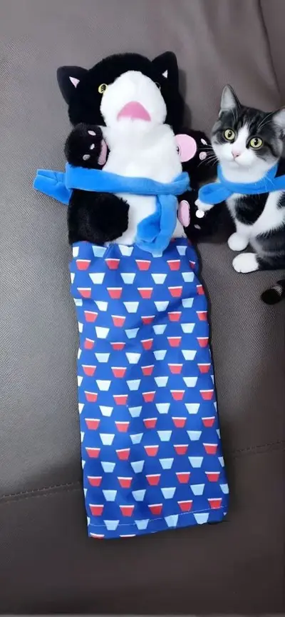 Kangaroo Boxer Cat Interactive Boxing Toy, Plush Hand Puppet Teaser - 4